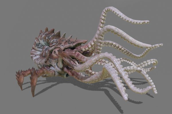 Kraken mega